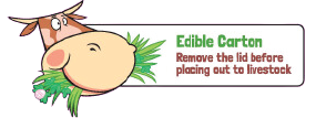 Edible Cartoon Logo